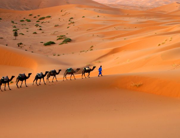 2 days tour from Ouarzazate to Merzouga