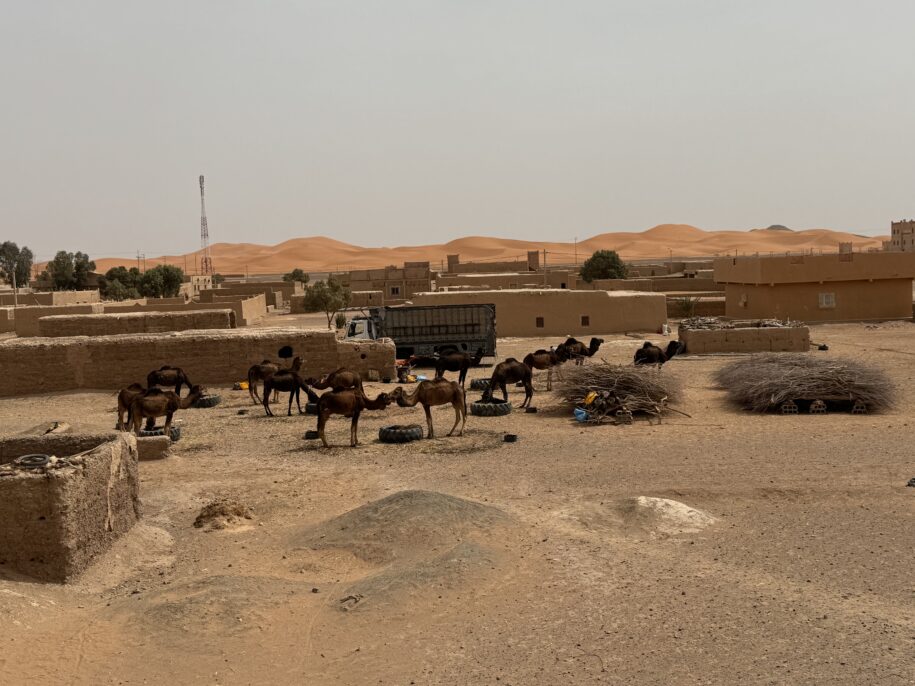 Tour nel deserto del Sahara: quando e come farlo