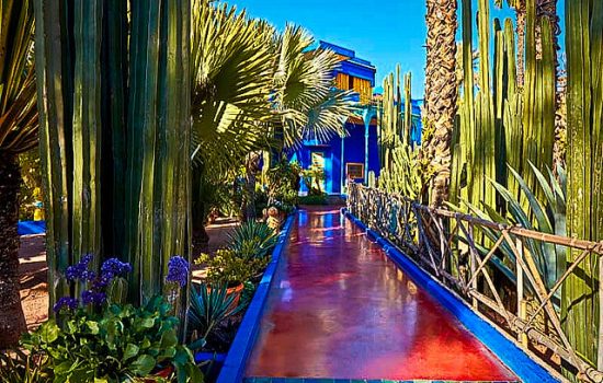 jardin majorelle