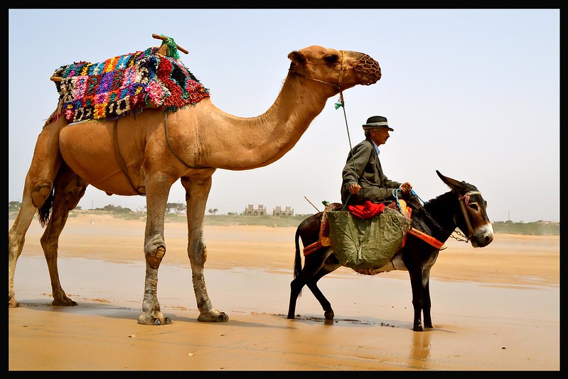 A 3 dias de Marrakech Essaouira e Agadir