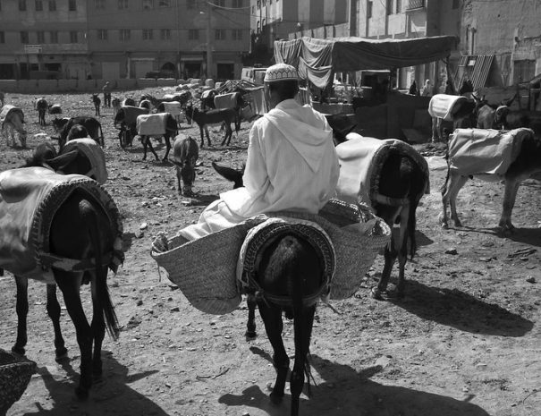 Marrakech a Fez - Ruta desde Marrakech 4 dias desierto Fez