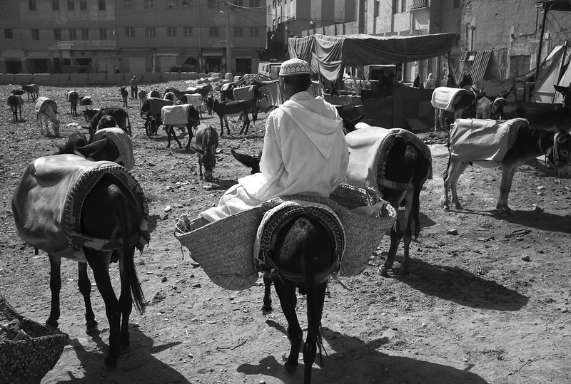 Marrakech a Fez - Ruta desde Marrakech 4 dias desierto Fez