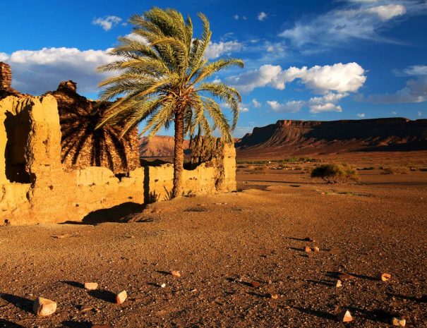 Tour Marruecos 2 días – 2 dias desde fez al desierto Fez Marrakech