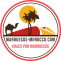 Viaje a Marruecos Organizado: Marruecos Morocco